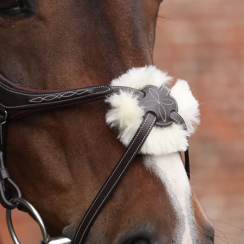 Velociti Lusso Opus 180M Grackle Bridle - Havana-2