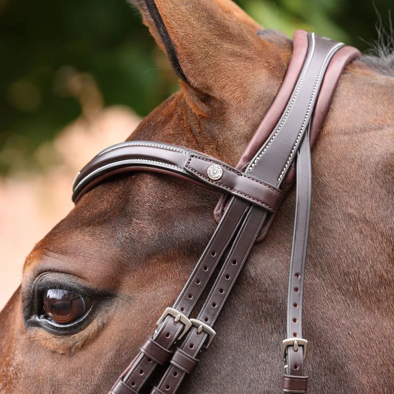 Velociti Lusso Opus 180M Grackle Bridle - Havana-8