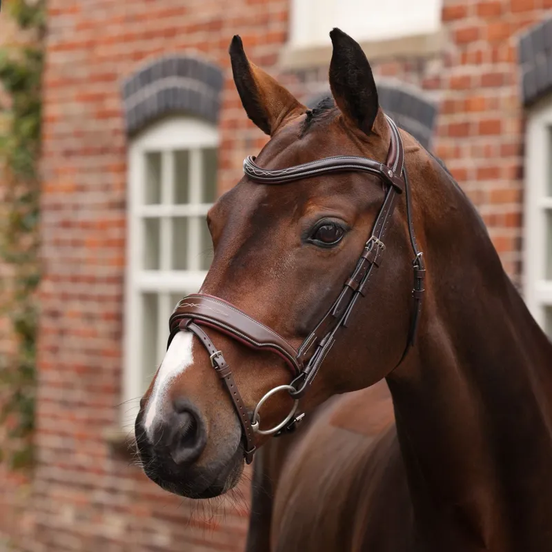 Velociti Lusso Opus 180M Dressage Flash Bridle - Havana