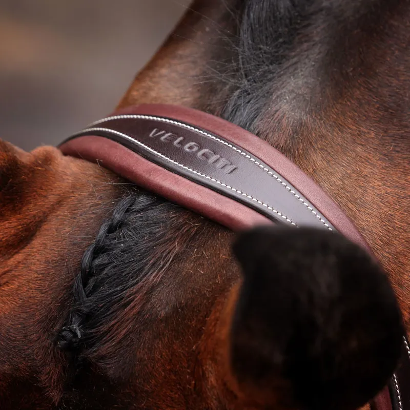 Velociti Lusso Opus 180M Dressage Flash Bridle - Havana-1