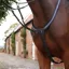 Velociti Lusso Opus Elastic Breastplate - Black