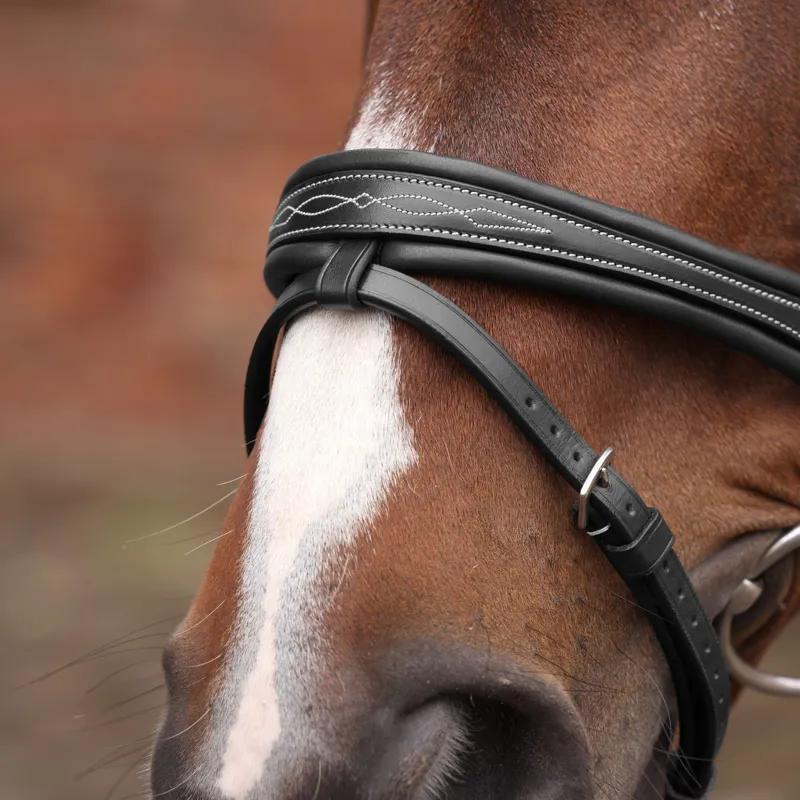 Velociti Lusso Opus 180M Padded Flash Bridle - Black-4