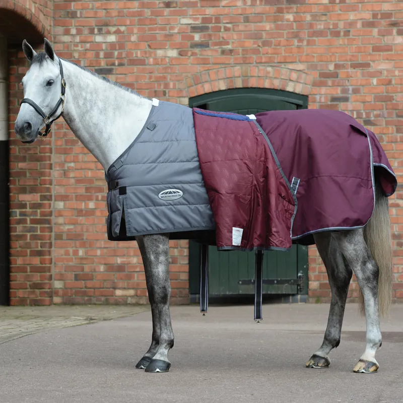 WeatherBeeta ComFiTec Plus Dynamic II 220g High Neck Rug - Hunter Green-1