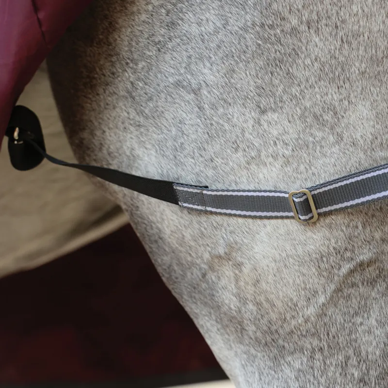 WeatherBeeta ComFiTec Plus Dynamic II 100g Turnout Rug - Maroon/Grey-5