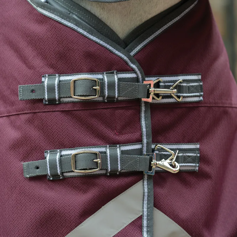 WeatherBeeta ComFiTec Plus Dynamic II 100g Turnout Rug - Maroon/Grey-6