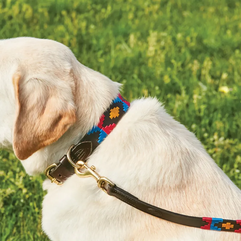 WeatherBeeta Polo Dog Collar - Cowdray Brown/Pink/Blue/Yellow-1