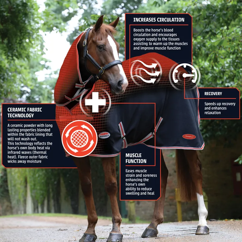 WeatherBeeta Therapy-Tec ComFiTec Premier 220g Turnout Rug - Black-2