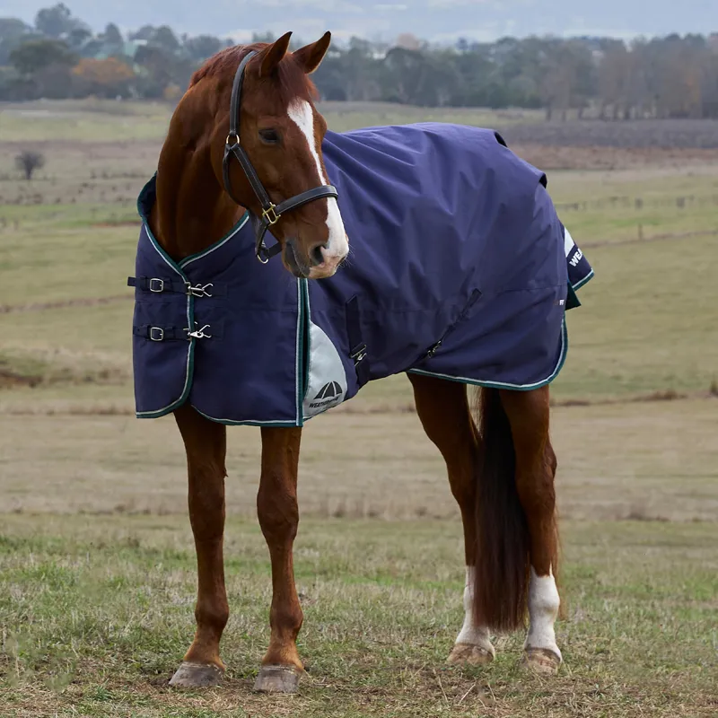WeatherBeeta ComFiTec Plus Dynamic 100g Standard Turnout Rug - Navy-1