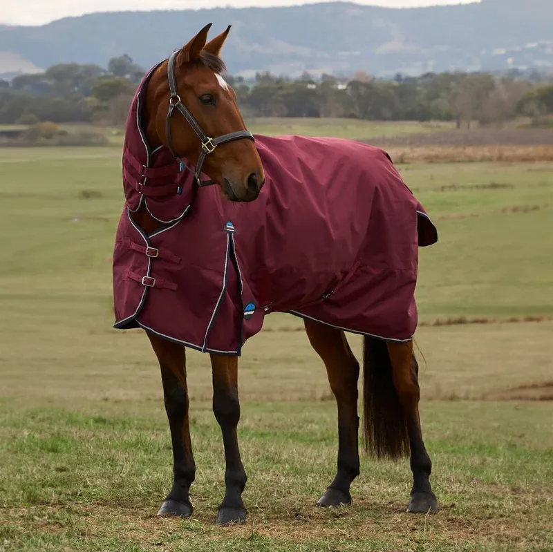 WeatherBeeta ComFiTec Prelim 220g Combo Turnout Rug - Burgundy/Navy
