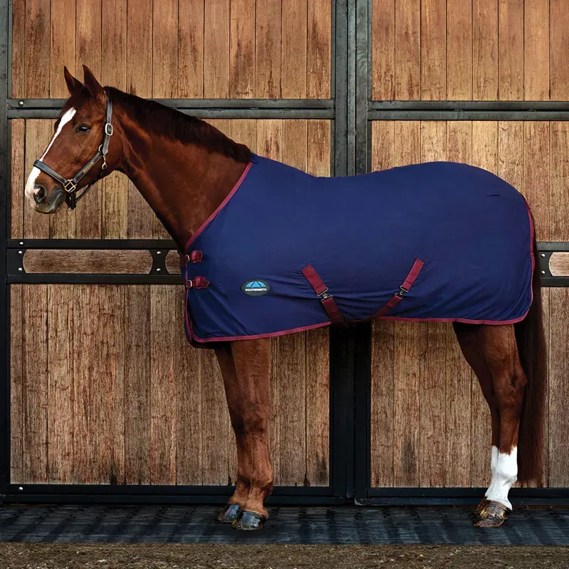 WeatherBeeta Cotton Sheet Rug - Navy/Burgundy