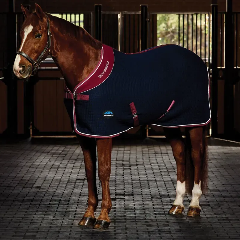 WeatherBeeta Thermocell Standard Neck Cooler Rug - Navy/Burgundy