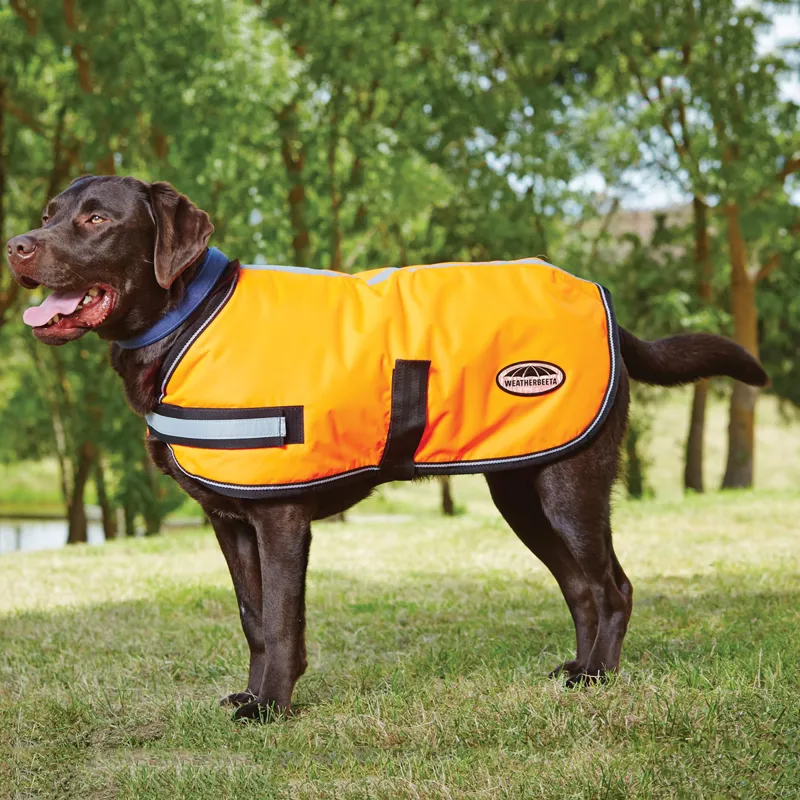 WeatherBeeta Parka Dog Coat - Fluorescent Orange