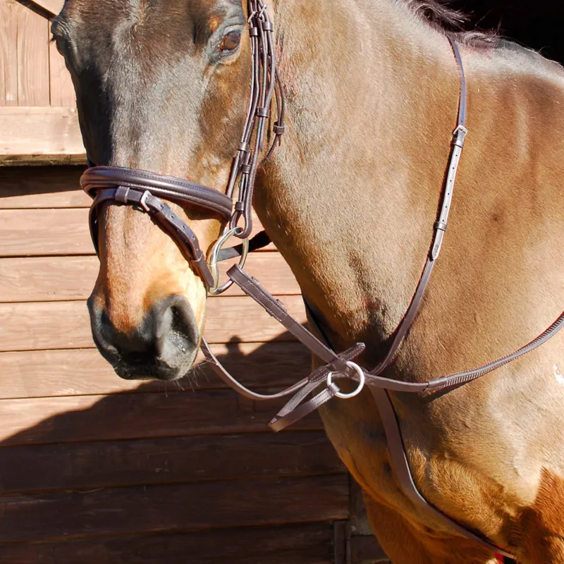 Windsor Running Martingale - Havana