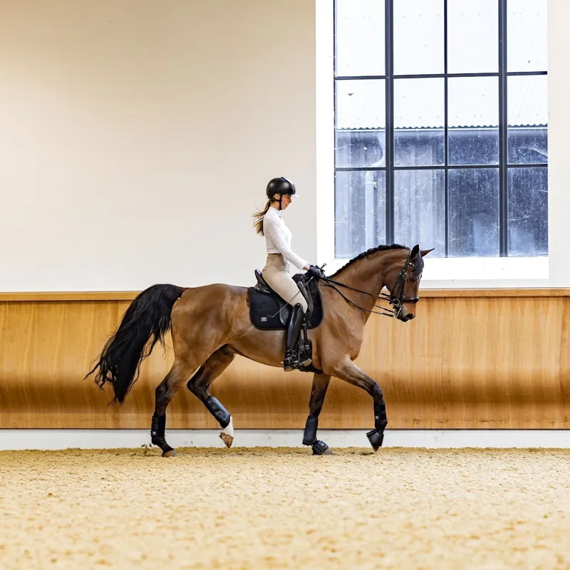 Woof Wear Elite Comfort and Dressage Saddlecloth - Black-6