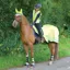 Woof Wear Hi Vis Winter Exercise Sheet - Yellow