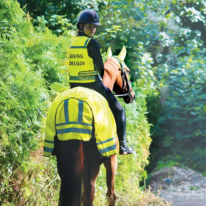Woof Wear Hi Vis Winter Exercise Sheet - Yellow-2