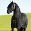 Rambo 100g Light Stable Rug - Black/Black/White