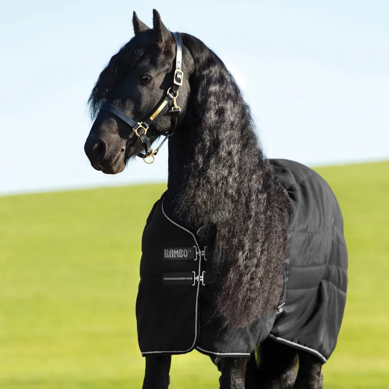 Rambo Medium Weight 400g Standard Neck Stable Rug - Black/Black/White