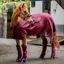 Rambo Travel Series Rug V1 - Burgundy/Teal