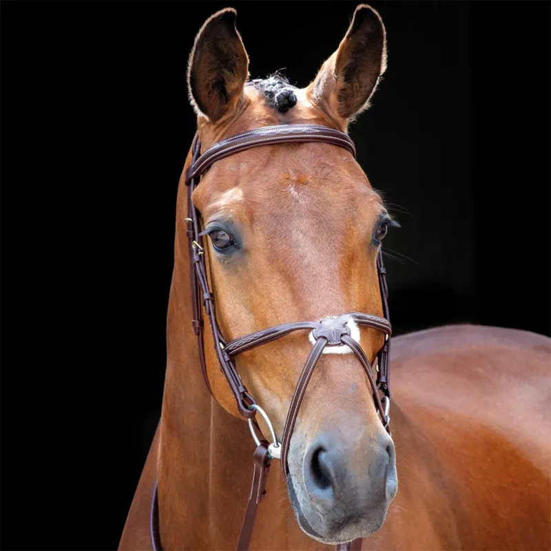Shires Salisbury Brackley Grackle Bridle with Reins - Australian Nut