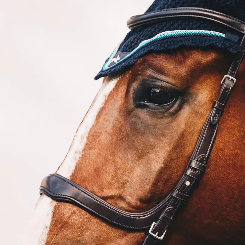 Schockemohle Equitus Delta Anatomic Bridle - Espresso/Silver-1