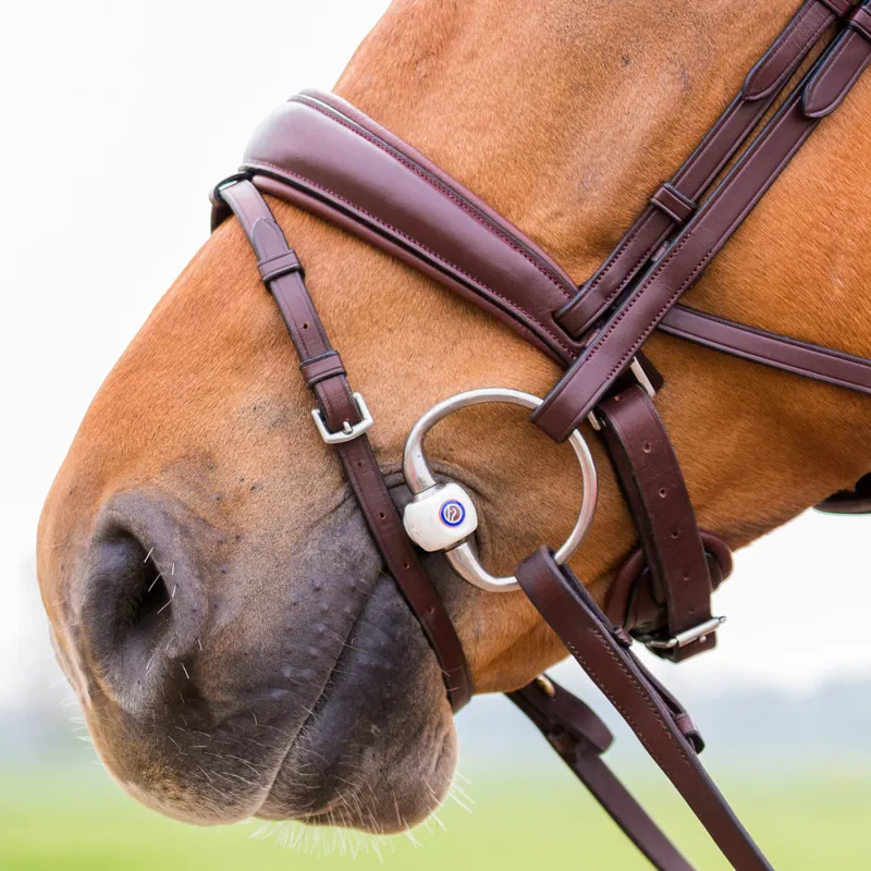 TRUST Equestrian Inno Sense Port Medium Eggbutt Bit-1