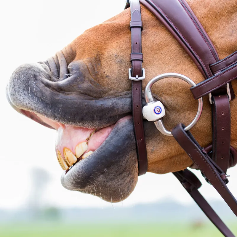 TRUST Equestrian Inno Sense Port Medium Eggbutt Bit-2