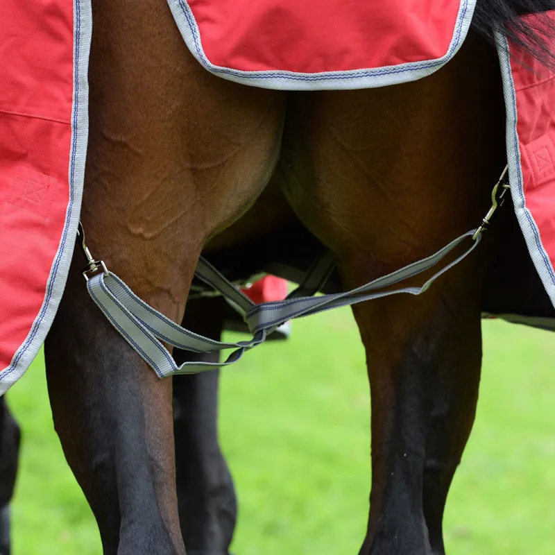 WeatherBeeta ComFiTec Classic 50g Combo Neck Turnout Rug - Red/Silver-2