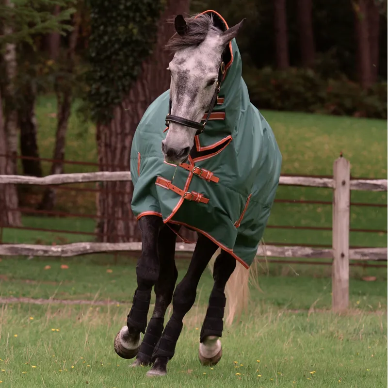 WeatherBeeta ComFiTec Tyro 50g Combo Neck Turnout Rug - Green-1
