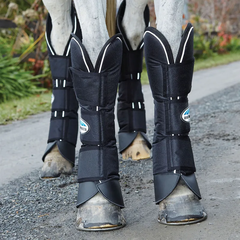 Weatherbeeta Deluxe Travel Boots - Black-1