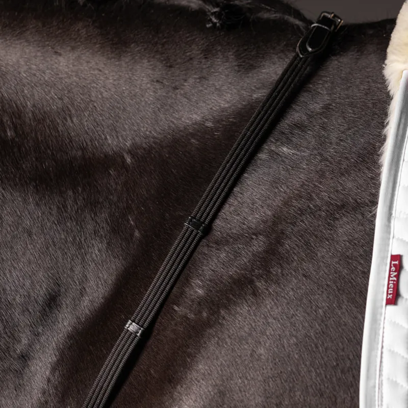 LeMieux Webbed Continental Reins - Black/Silver-1